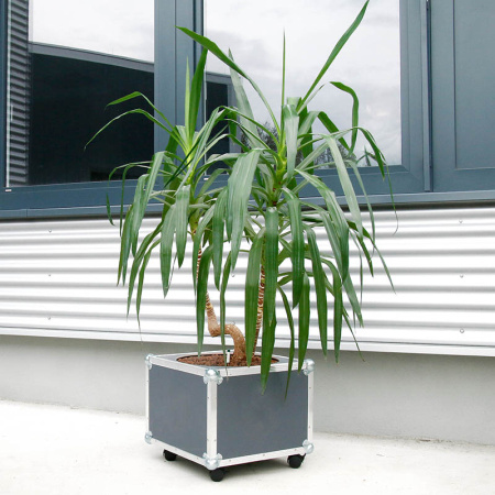 Кейс (кофр) цветочница PROCASE диаметр 40см на колесах