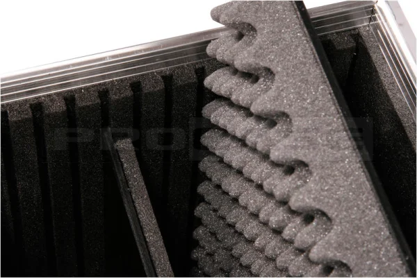 Кейс (кофр) для 20-22 TFT Displays