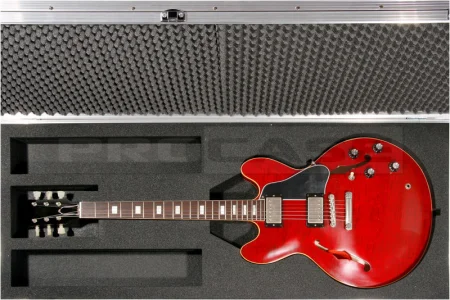 Кейс  для гитары Hollow Body