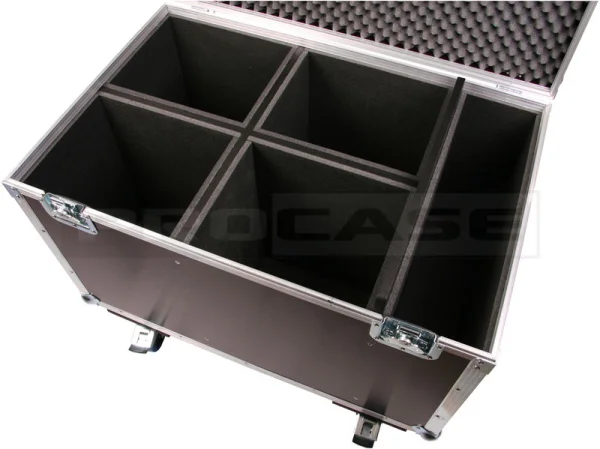 Кейс (кофр) для 4x DTS Scena 650, 1000