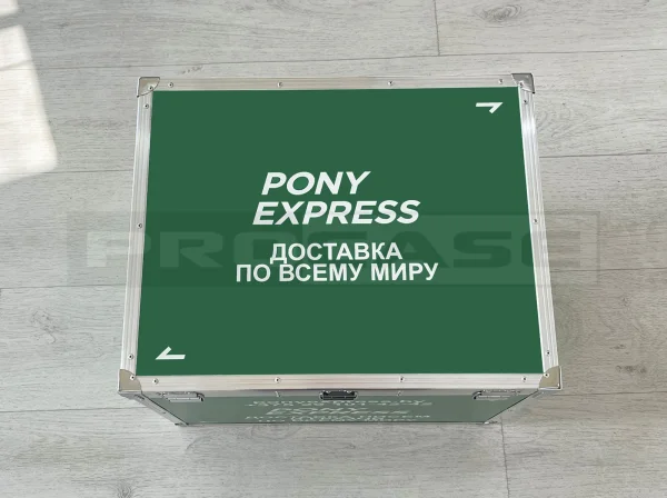 Кейс (кофр) брендированный Понини