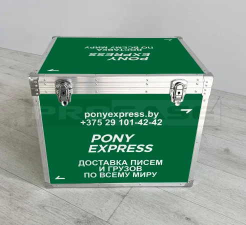 Кейс (кофр) брендированный Понини