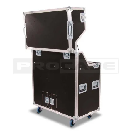 Кейс (кофр) мобильная мойка Про4