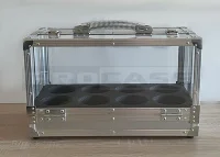 Кейс прозрачный с откидными крышками